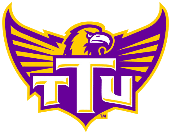 Tennessee Tech Golden Eagles 2006-Pres Alternate Logo t shirts DIY iron ons